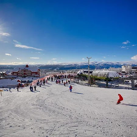 Ski-in Ski-out Cozy Retreat With Mountain Views Apartment *